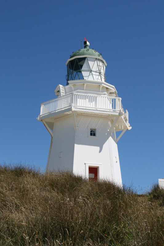 Nieuw-Zeeland 2011 - 1763